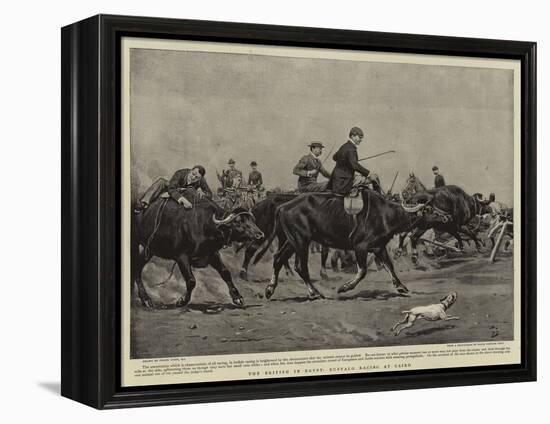 The British in Egypt, Buffalo Racing at Cairo-Frank Dadd-Framed Premier Image Canvas