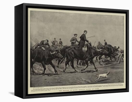 The British in Egypt, Buffalo Racing at Cairo-Frank Dadd-Framed Premier Image Canvas