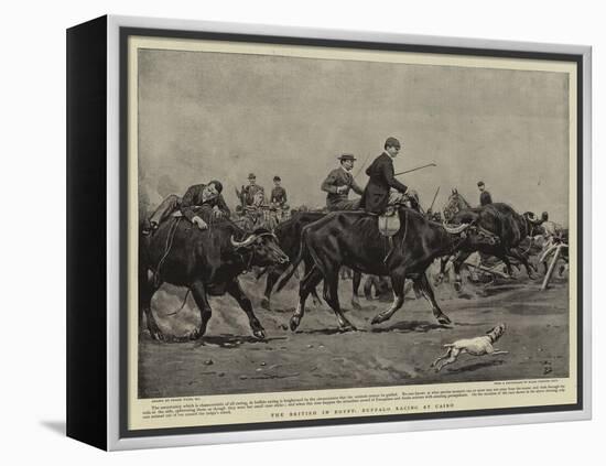 The British in Egypt, Buffalo Racing at Cairo-Frank Dadd-Framed Premier Image Canvas