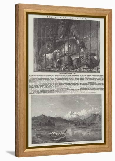 The British Institution-Thomas Earl-Framed Premier Image Canvas