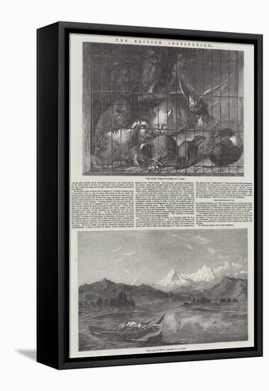 The British Institution-Thomas Earl-Framed Premier Image Canvas