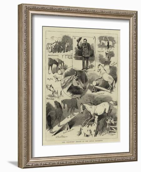 The Broncho Horses at the Royal Aquarium-Charles Burton Barber-Framed Giclee Print