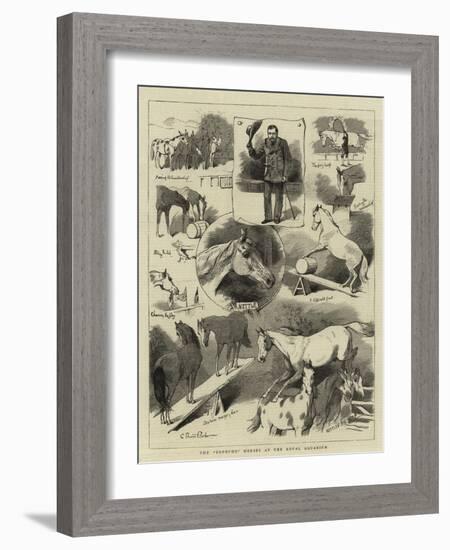 The Broncho Horses at the Royal Aquarium-Charles Burton Barber-Framed Giclee Print