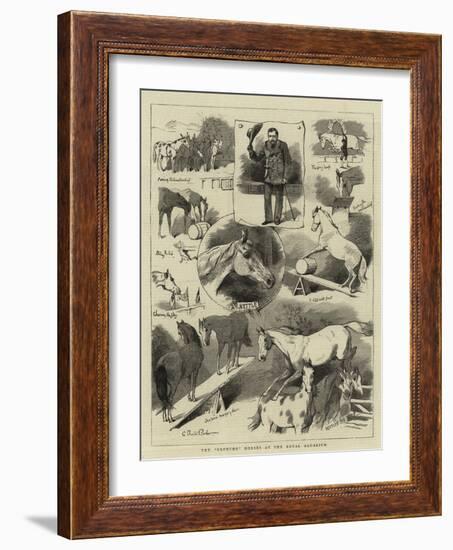 The Broncho Horses at the Royal Aquarium-Charles Burton Barber-Framed Giclee Print