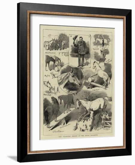 The Broncho Horses at the Royal Aquarium-Charles Burton Barber-Framed Giclee Print