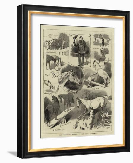 The Broncho Horses at the Royal Aquarium-Charles Burton Barber-Framed Giclee Print