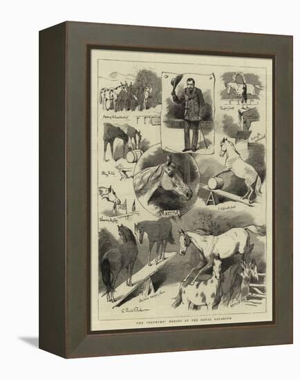 The Broncho Horses at the Royal Aquarium-Charles Burton Barber-Framed Premier Image Canvas