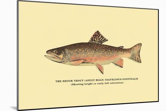 The Brook Trout, Showing Bright or Early Fall Coloration-H.h. Leonard-Mounted Art Print