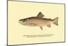 The Brook Trout, Showing Brilliant or Breeding Season Coloration-H.h. Leonard-Mounted Art Print