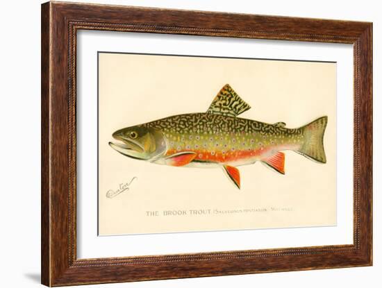 The Brook Trout-null-Framed Giclee Print