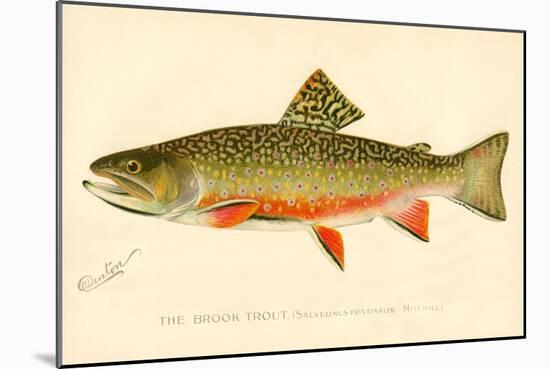 The Brook Trout-null-Mounted Giclee Print