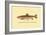 The Brook Trout-H.h. Leonard-Framed Art Print