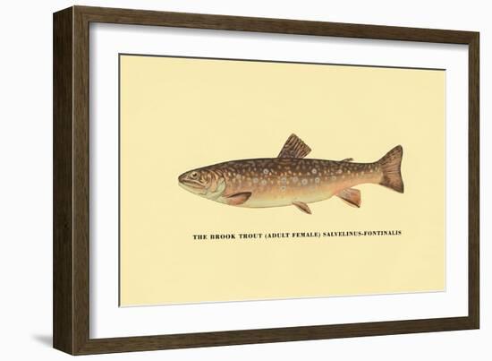 The Brook Trout-H.h. Leonard-Framed Art Print