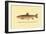 The Brook Trout-H.h. Leonard-Framed Art Print