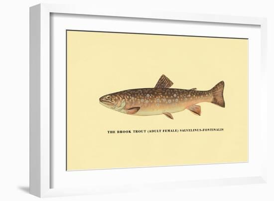 The Brook Trout-H.h. Leonard-Framed Art Print