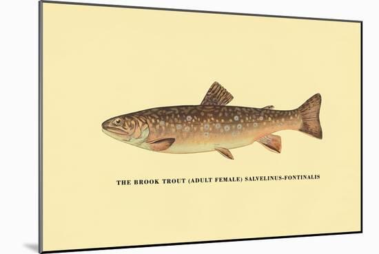 The Brook Trout-H.h. Leonard-Mounted Art Print