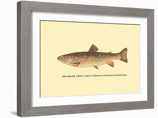 The Brook Trout-H.h. Leonard-Framed Art Print