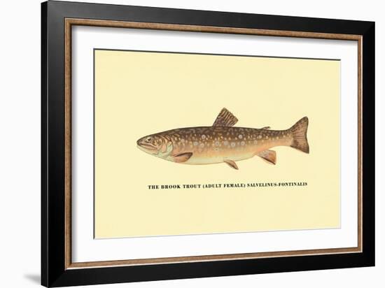 The Brook Trout-H.h. Leonard-Framed Art Print