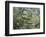 The Brook-Paul Cézanne-Framed Art Print