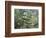 The Brook-Paul Cézanne-Framed Art Print