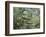 The Brook-Paul Cézanne-Framed Art Print