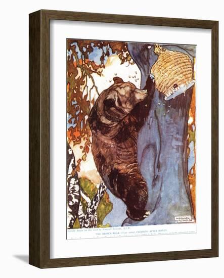 The Brown Bear (Ursus Arctos), Climbing after Honey, Illustration from 'The New Natural History',…-Warwick Reynolds-Framed Giclee Print