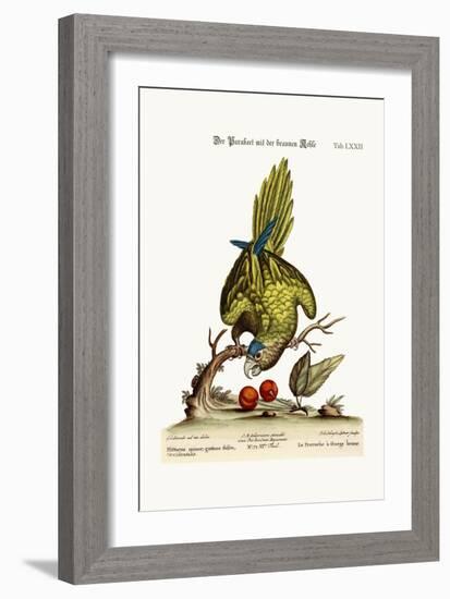 The Brown-Throated Parrakeet, 1749-73-George Edwards-Framed Giclee Print