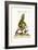 The Brown-Throated Parrakeet, 1749-73-George Edwards-Framed Giclee Print