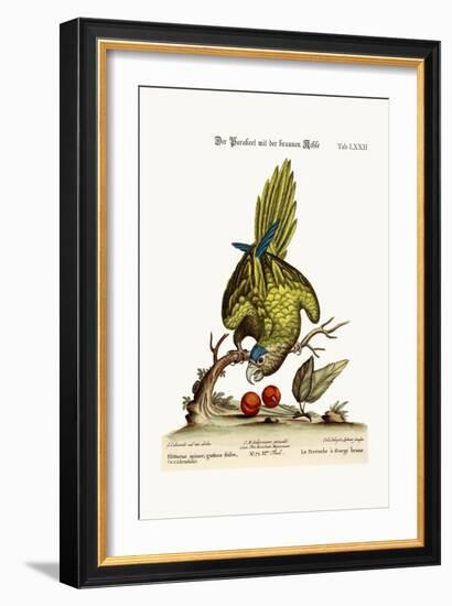 The Brown-Throated Parrakeet, 1749-73-George Edwards-Framed Giclee Print