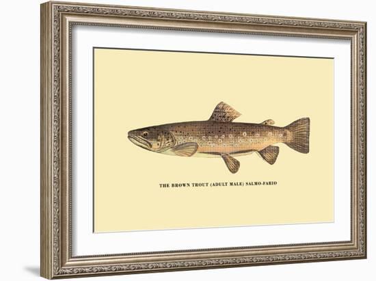 The Brown Trout-H.h. Leonard-Framed Art Print