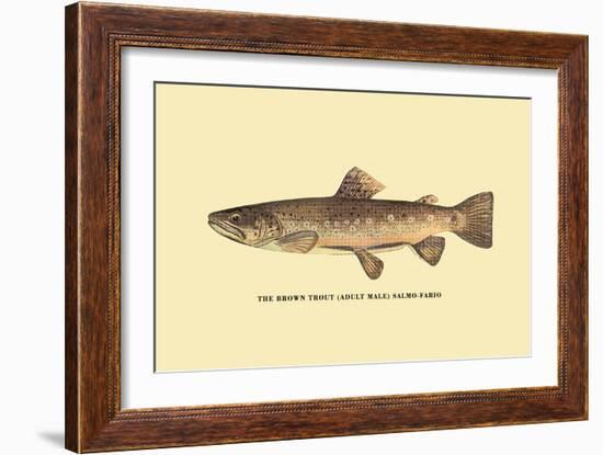 The Brown Trout-H.h. Leonard-Framed Art Print