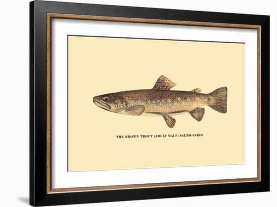 The Brown Trout-H.h. Leonard-Framed Art Print