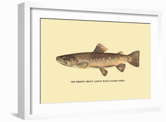 The Brown Trout-H.h. Leonard-Framed Art Print