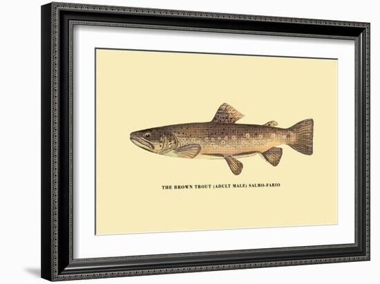 The Brown Trout-H.h. Leonard-Framed Art Print