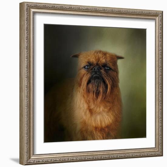 The Brussels Griffon-Jai Johnson-Framed Giclee Print