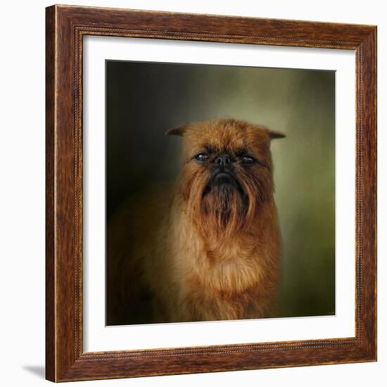 The Brussels Griffon-Jai Johnson-Framed Giclee Print