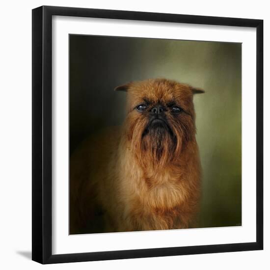 The Brussels Griffon-Jai Johnson-Framed Giclee Print