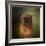 The Brussels Griffon-Jai Johnson-Framed Giclee Print