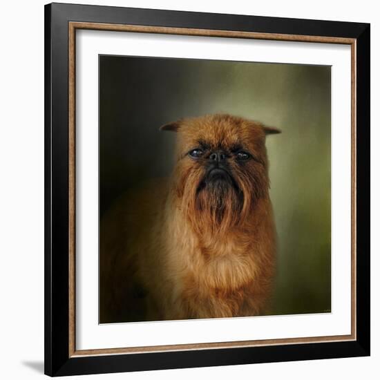 The Brussels Griffon-Jai Johnson-Framed Giclee Print