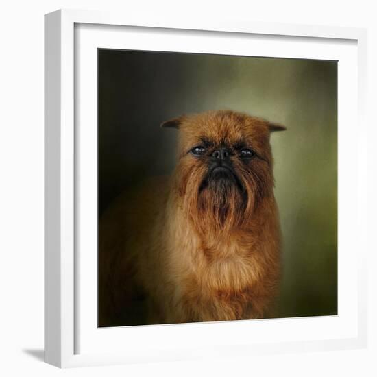 The Brussels Griffon-Jai Johnson-Framed Giclee Print