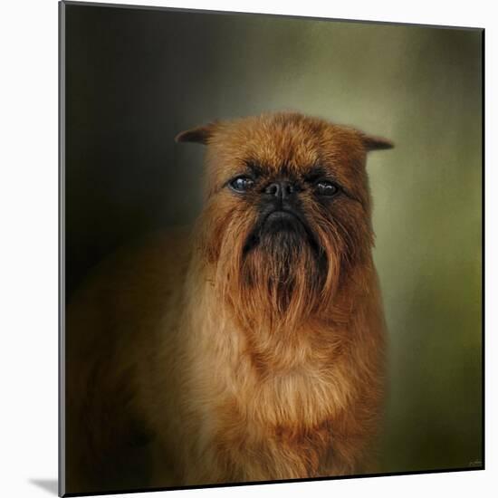 The Brussels Griffon-Jai Johnson-Mounted Giclee Print