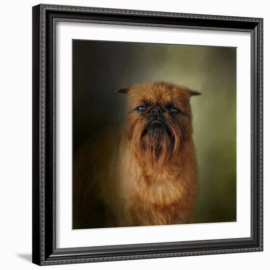 The Brussels Griffon-Jai Johnson-Framed Giclee Print