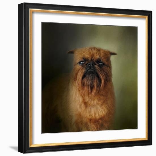 The Brussels Griffon-Jai Johnson-Framed Giclee Print