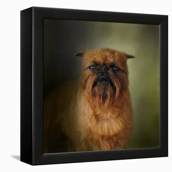 The Brussels Griffon-Jai Johnson-Framed Premier Image Canvas