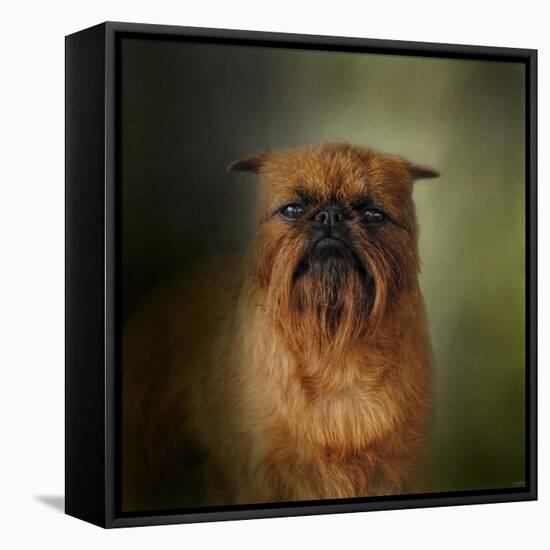 The Brussels Griffon-Jai Johnson-Framed Premier Image Canvas