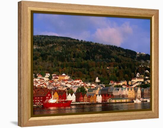 The Bryggen, a Huddle of Wooden Buildings on the Waterfront, Bergen,Hordaland, Norway-Anders Blomqvist-Framed Premier Image Canvas