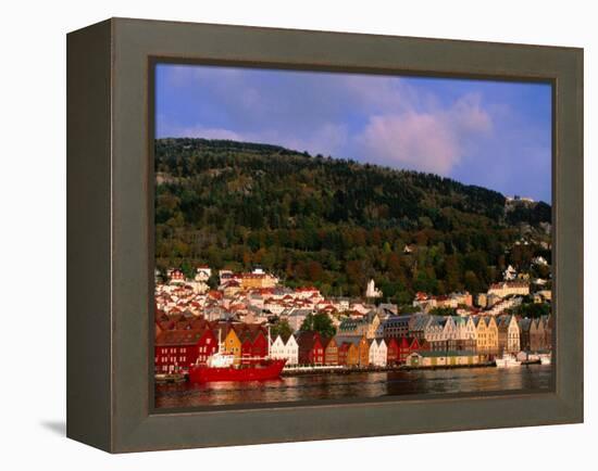 The Bryggen, a Huddle of Wooden Buildings on the Waterfront, Bergen,Hordaland, Norway-Anders Blomqvist-Framed Premier Image Canvas