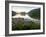 The Bubbles and Jordan Pond in Acadia National Park, Maine, USA-Jerry & Marcy Monkman-Framed Photographic Print