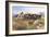 The Buffalo Hunt No. 39-Charles Marion Russell-Framed Premium Giclee Print