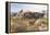 The Buffalo Hunt No. 39-Charles Marion Russell-Framed Stretched Canvas